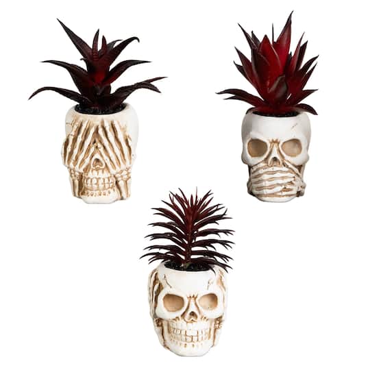 6" Artificial Halloween Speak, Hear, See No Evil Succulent Plant Skull Décor Set